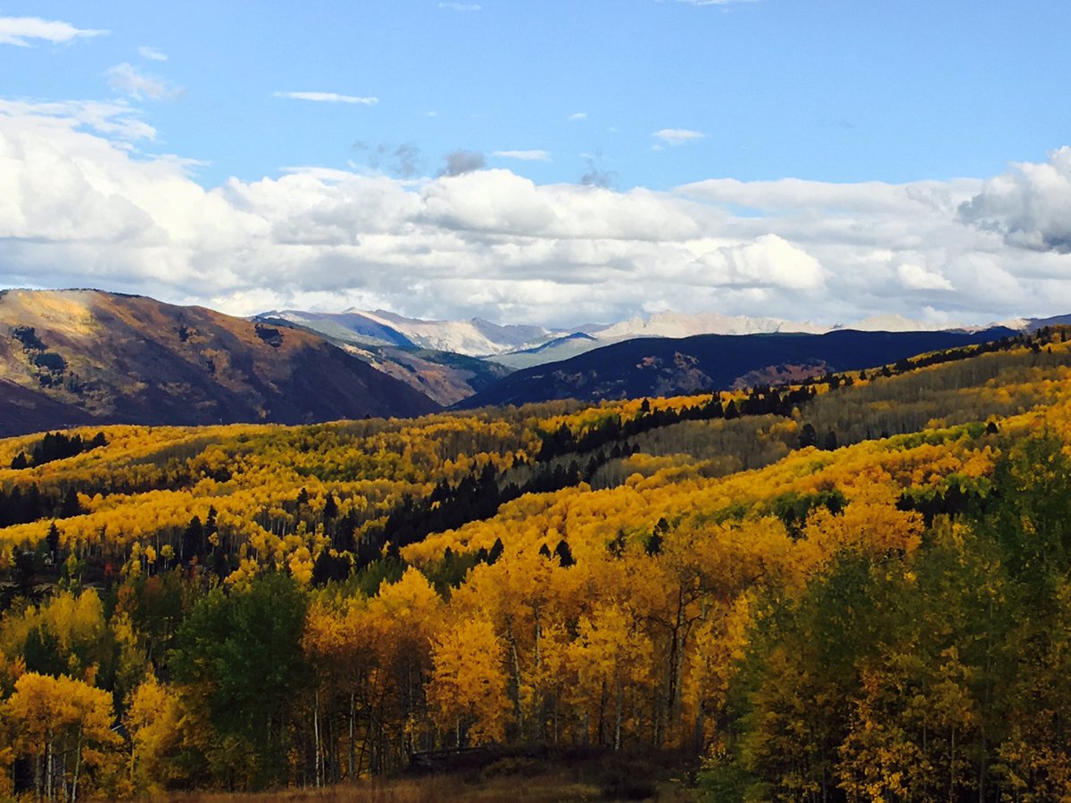 Chef Will Nolan tweet media