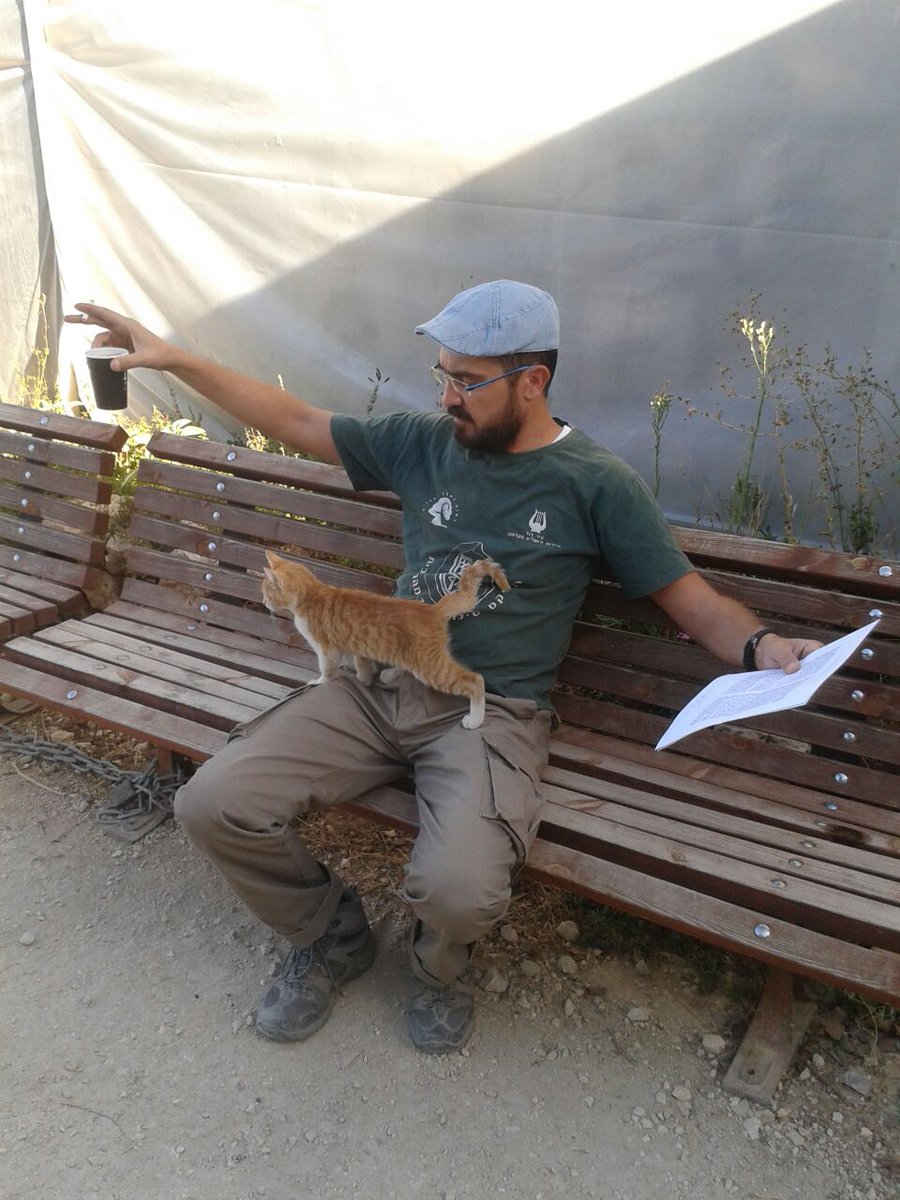 TMSifting's tweet photo. Cat attack at Emek Tzurim! The #SiftingProject gets the best volunteers. And the furriest! https://t.co/SQgTRccnie