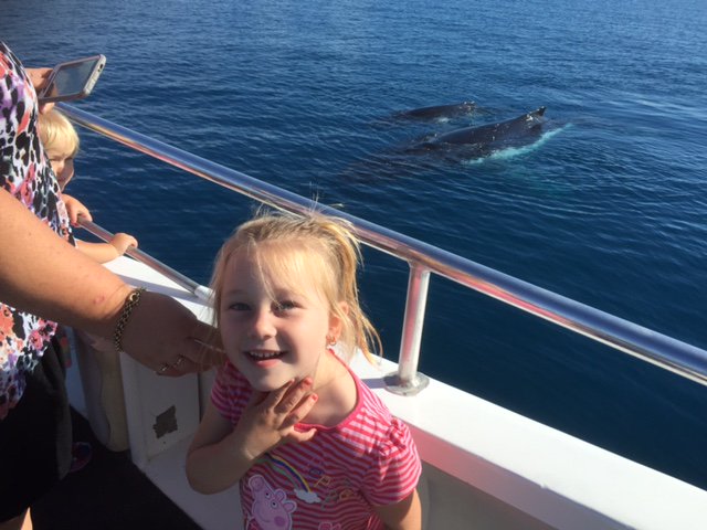 QuickCatII's tweet image. Mugging whales, calm waters, smiles on this afternoons tour @QuickCatII #thisisqueensland #visitfrasercoast #seeaustralia