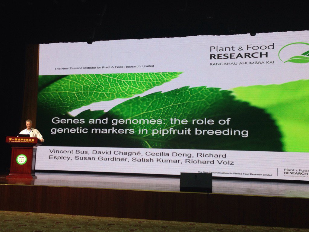 apricotqueen's tweet photo. Vincent Bus from @plantandfood keynote speaker on molecular markers for apple at #apple2016 symposium @ishs_hort https://t.co/qx3aZegpoD