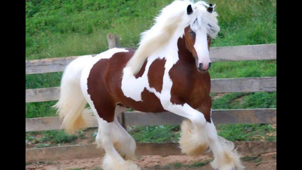 مؤسسةالحامدللعقارات (@muujeeb1) on Twitter photo 