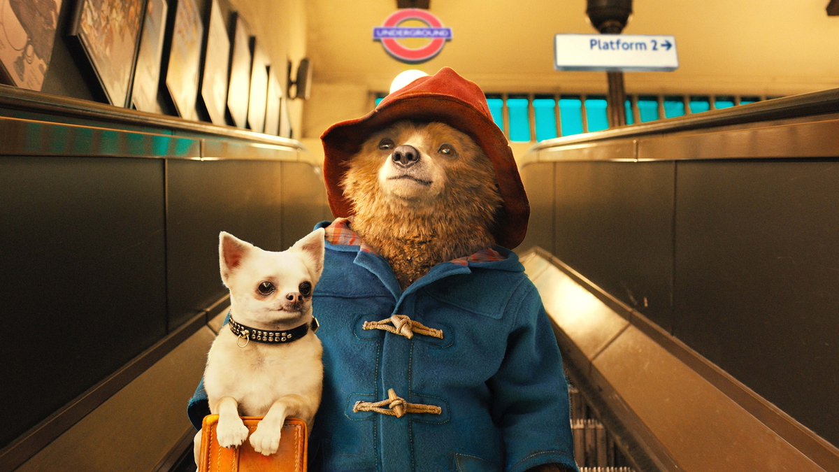 WhatBoxCompany's tweet image. #onthisday in 1958, Paddington bear made his debut. #tbt #supercute #paddingtonbear