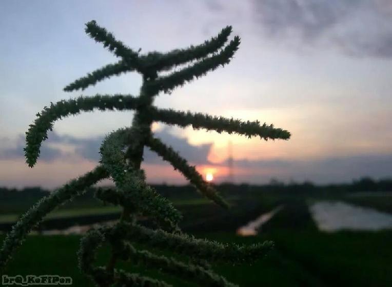 RinaSafia's tweet photo. Sepenggal Pertemuan dan Semangkok Sup https://t.co/rDGP8pCxOp https://t.co/Y5dSs9jLhv