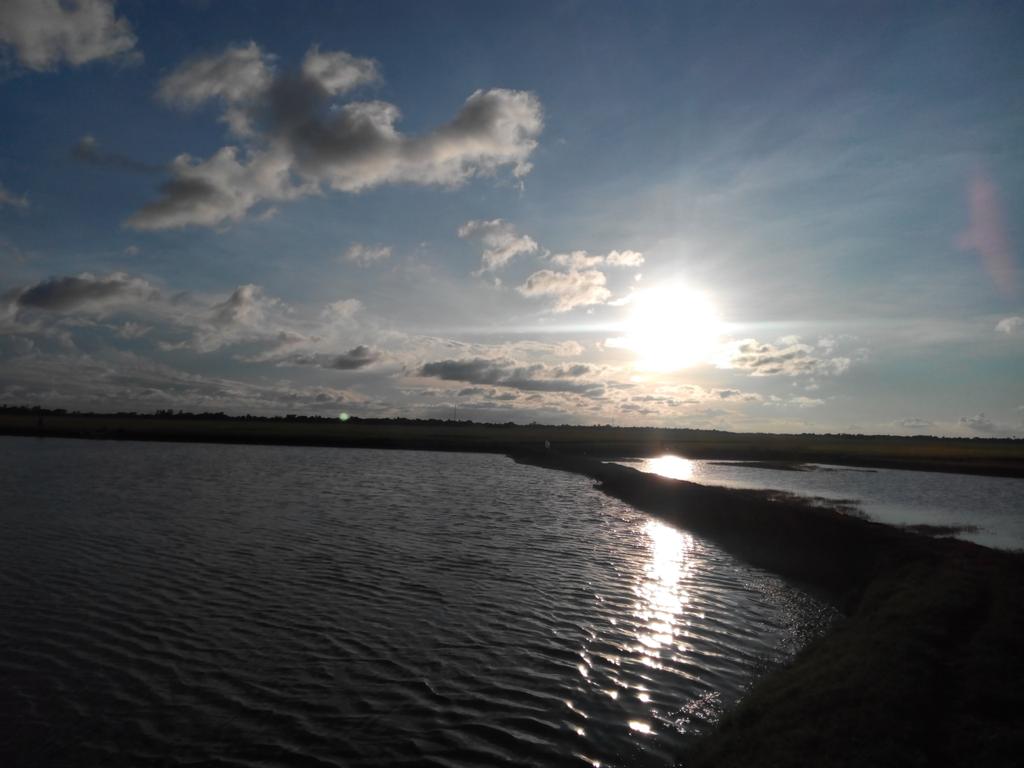 JonayedMd's tweet image. what a lovely sunset !!!!