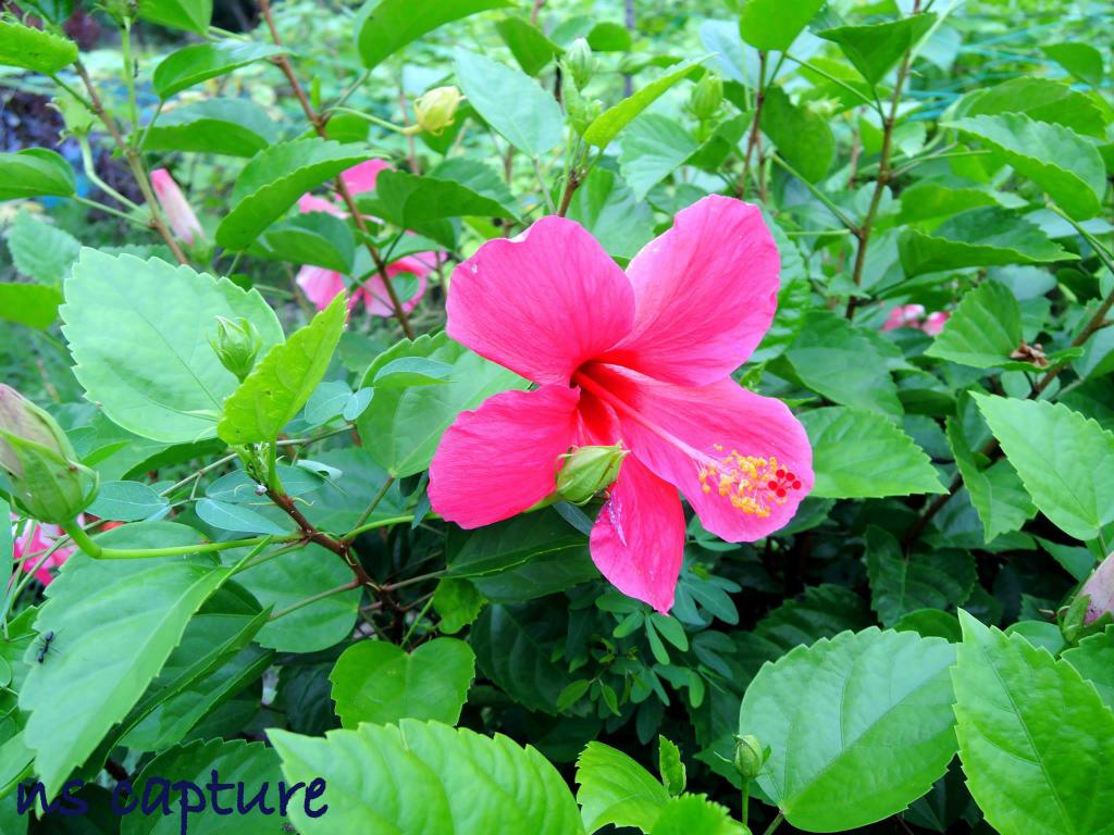 JonayedMd's tweet image. Collected