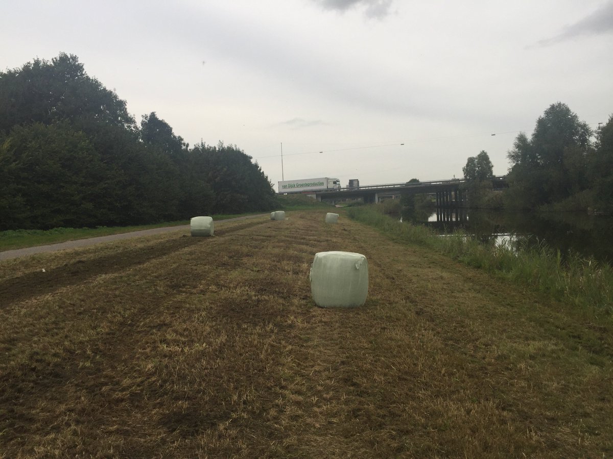 Nieuwe oogst van gemaaide waterplanten! Nieuwe grondstoffen voor nieuwe producten. Almere maakt waarde uit reststromen uit de stad.