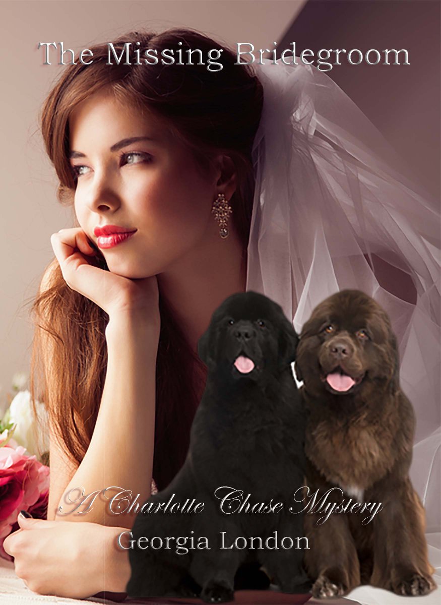 This is a great new cozy mystery series, set in England on the Cornish coast and involving a spiritual medium and ghosts. It is only .99