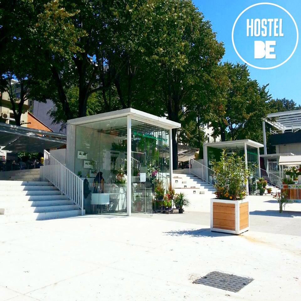 BeHostel's tweet photo. @BeHostel finding inspiration at Flower Squere 🌹 🌺 🌼🏵🌷 https://t.co/2crydS9LYc ❤️ https://t.co/vCkjHmGeF2