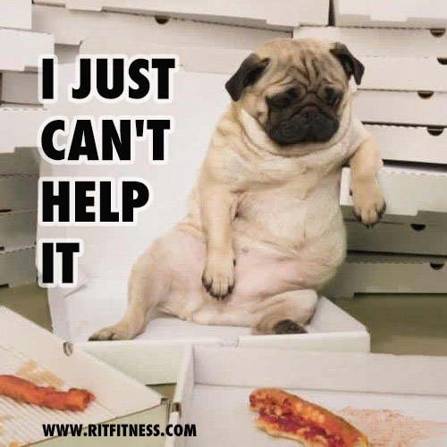 Are you UNHAPPY about any part of your body ? Belly? Waist？
I hate my mouth, cannot say NO to pizza.
#ritfit #fitness #workout #lossweight