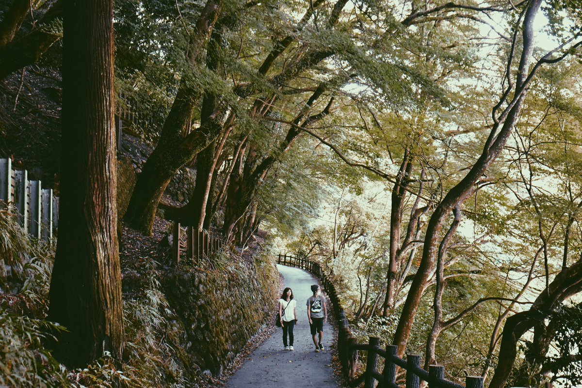 pinaybackpacker's tweet photo. A walk to remember. Thanks @flytpack for keeping me connected online in #Japan. #Flytpacktravel #flytpackhelps #flytpack #ttot https://t.co/xbzfd5kEqR