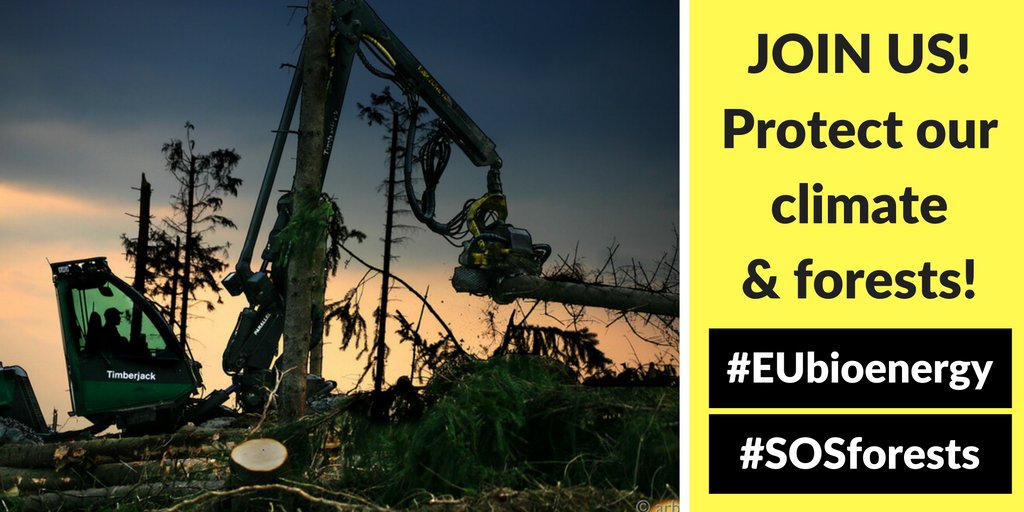 SEO_BirdLife's tweet photo. Nos jugamos en Europa el futuro de los bosques, el clima y de los cultivos. Únete a nosotros #SOSForest https://t.co/d2ZvqTMEsC https://t.co/ROyfM4KzaV