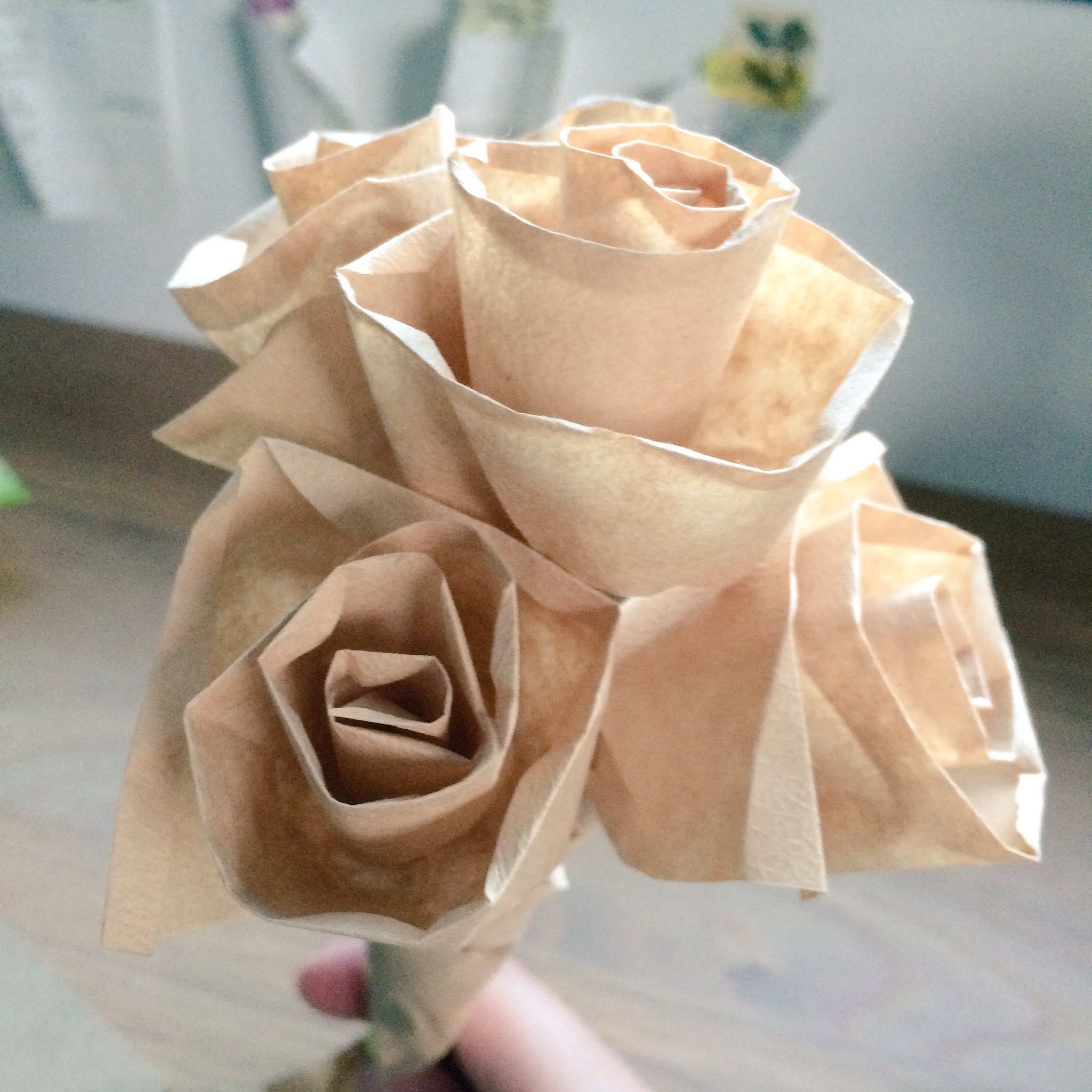 にっしん 部屋があまりにも乾燥してるので加湿器代わりにコーヒーフィルターで作ってみた T Co Ru9ilkylho Twitter