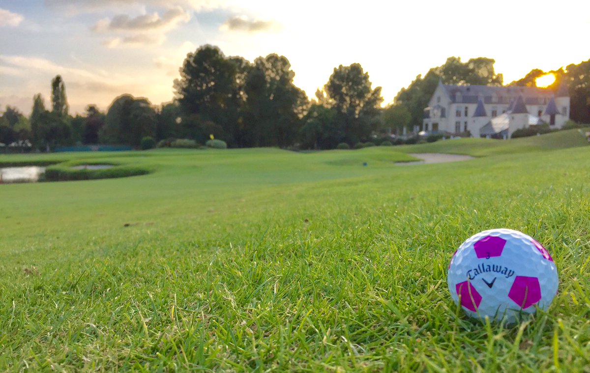 Isabelle Trohel tweet media