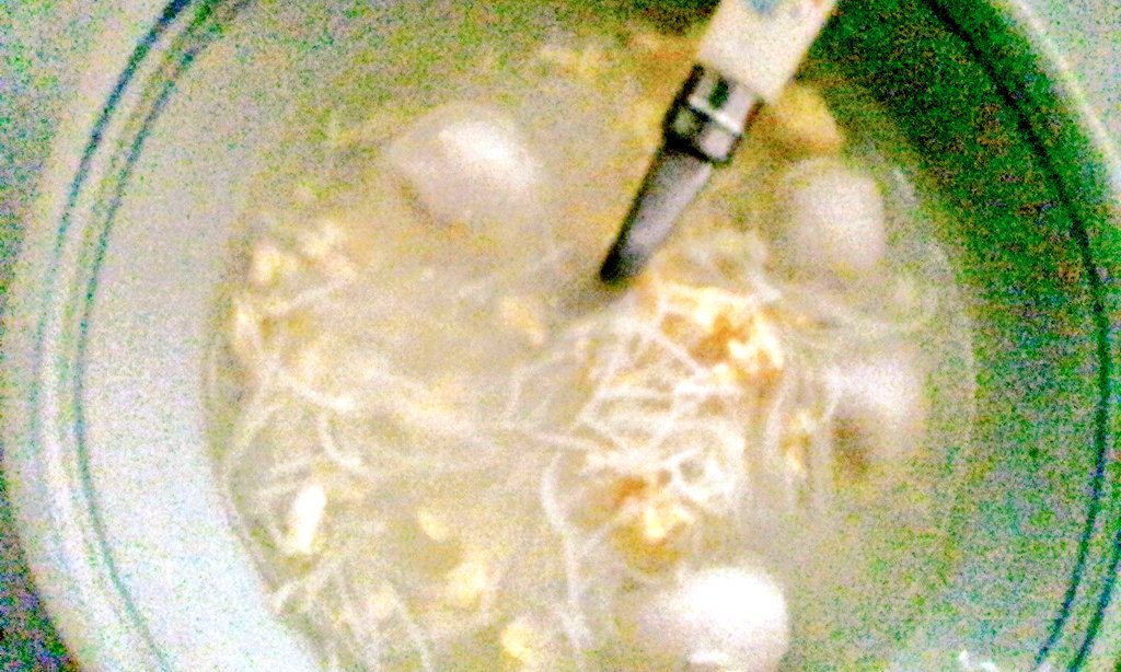 tankokseng61's tweet photo. #Thu #13oct16 #ThursdayTeaTime #BeeHoon #WithEggDropSoup #AndFour #FishBalls #EggDropSoup
#CucumberSlices #AgarAgar https://t.co/L9rR2PnckJ