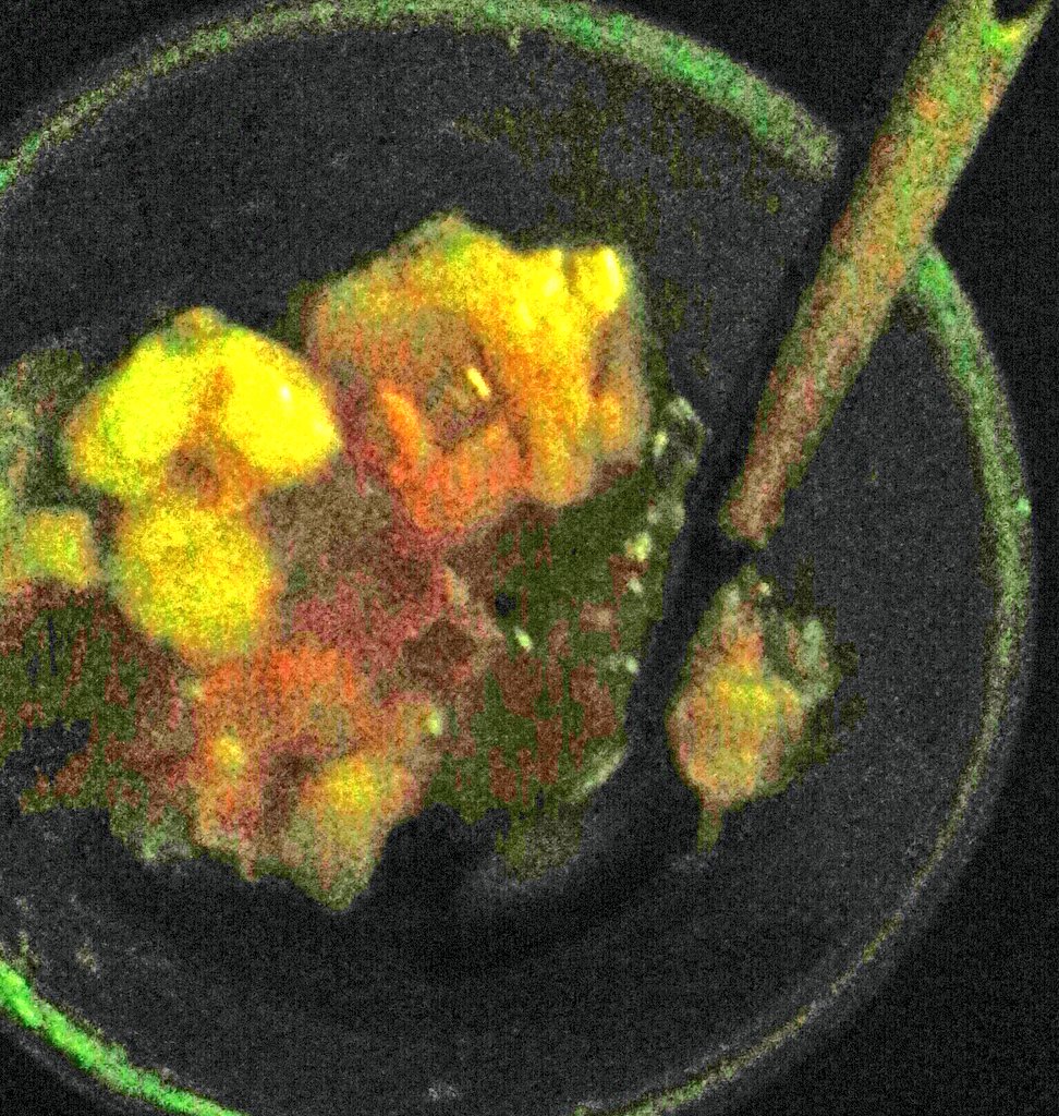 tankokseng61's tweet photo. #Thu #13oct16 #ThursdayTeaTime #BeeHoon #WithEggDropSoup #AndFour #FishBalls #EggDropSoup
#CucumberSlices #AgarAgar https://t.co/L9rR2PnckJ