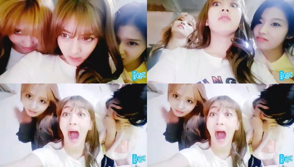 [트와이스] V앱한다고 얼굴막쓰는 모사효 | 인스티즈