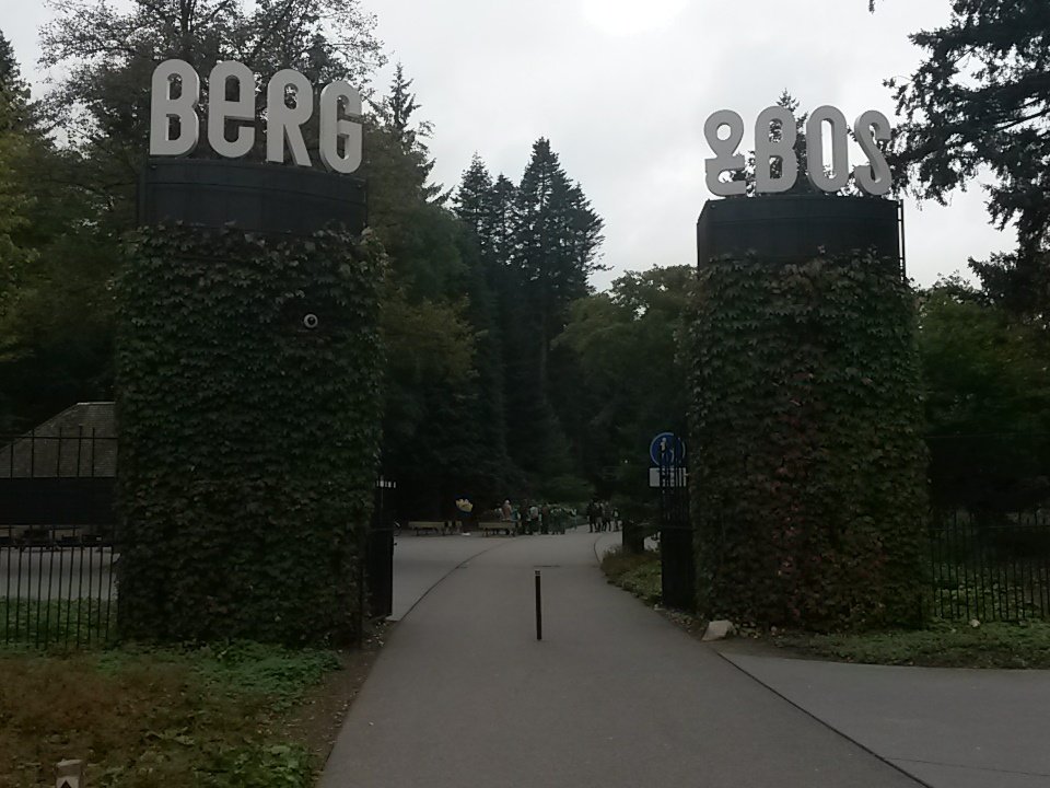 Groep 7 is los in Berg en Bos, schoolwandeltocht!