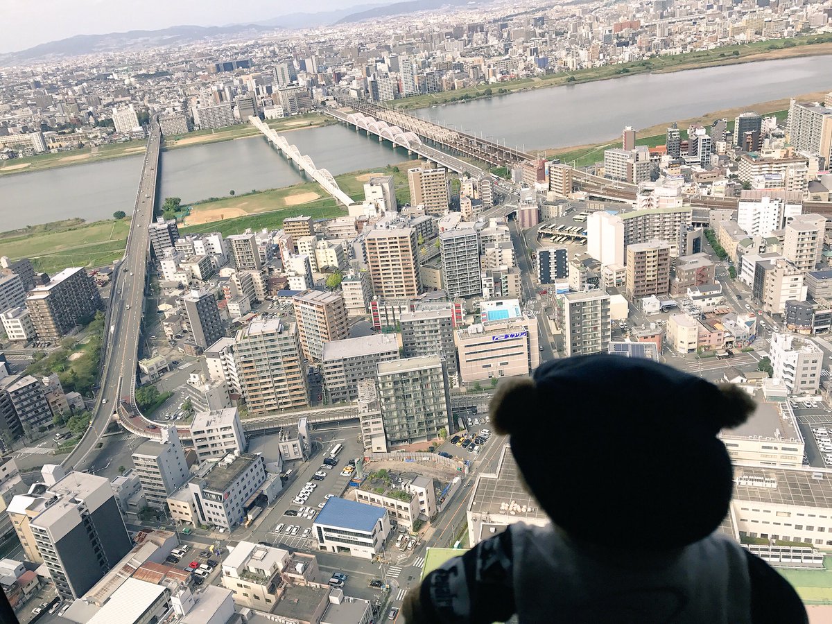 Jacqui_and_West's tweet photo. West is on the 40th floor, looking at Osaka from above. I wonder if we can see Woking from up here @McLarenF1 @HondaRacingF1 #BearDreams https://t.co/4wSp3GoRkV