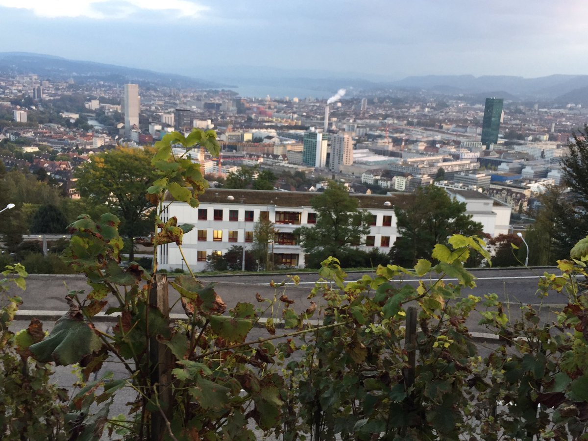 C7DDH's tweet image. Great 2 spend time with the World Champions in Zurich 🏆🇨🇭
World Class at Projects also, lots to exchange &amp;amp; learn 👍🏗💻
#TeamProjects
#WGSO