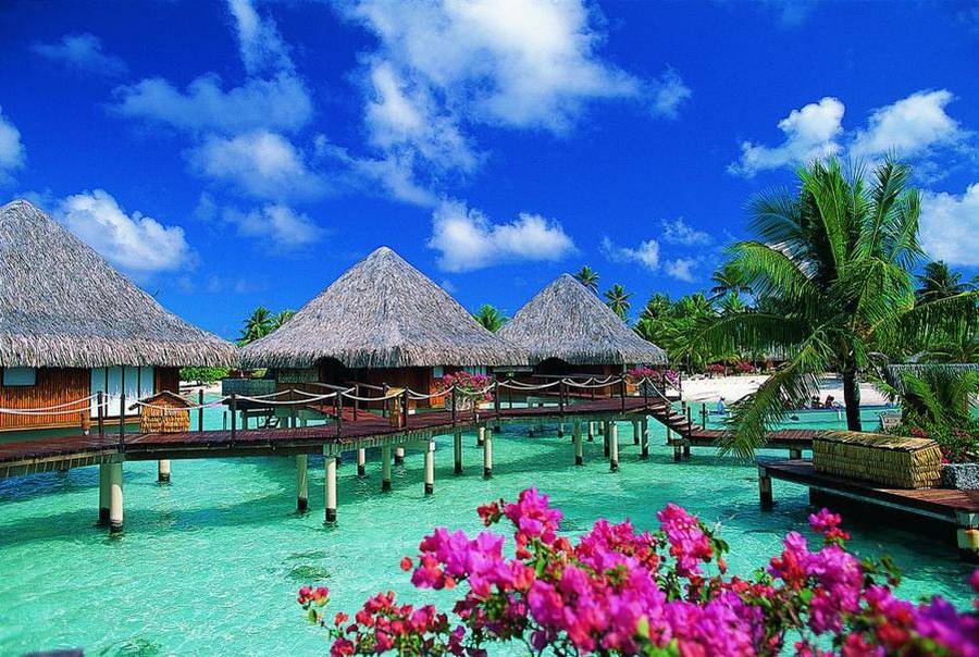 Travelnsp's tweet photo. “Once a year, go someplace you’ve never been Before” – Anonymous #TravelQuotes ☀️✈️🌴⛵ https://t.co/m0TfAwajTN