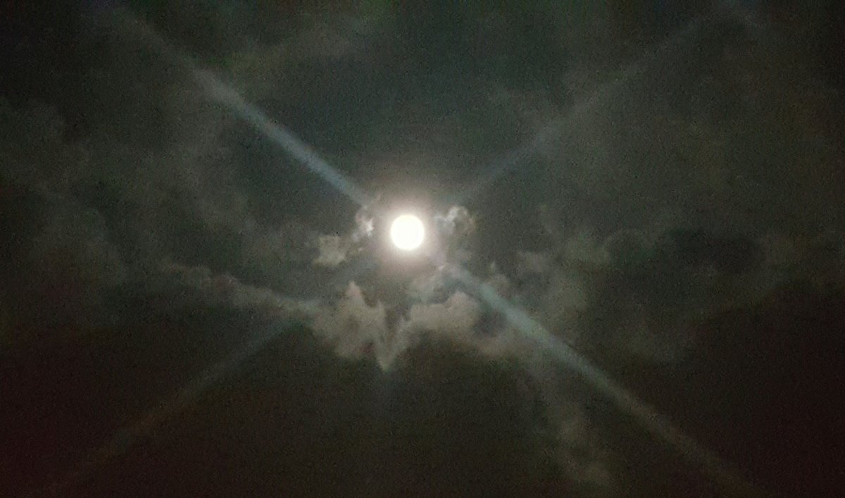 BBBubbleBee_'s tweet photo. เมื่อเทวดาเสด็จกลับสวรรคาลัย
พระจันทร์วันนี้... เลยดูสวยกว่าทุกวัน

#ขอเป็นข้ารองพระบาททุกชาติไป 🙏
- ถ่าย 13 ตุลาคม พ.ศ. 2559 https://t.co/hAh29soSzI
