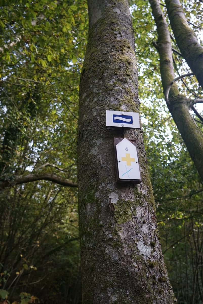 OutdoorBlogNews's tweet photo. Von Felsen, wilden Wassern und Kelten - unterwegs in der Provinz Luxemburg @BelgienTourist https://t.co/48PkislvEx