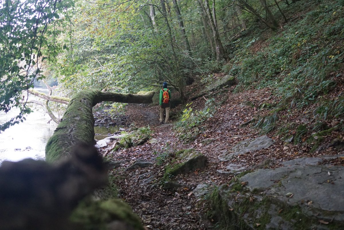 OutdoorBlogNews's tweet photo. Tag 4 in den Ardennen. An der wilden Ourthe entlang @BelgienTourist #Wandern #Herbst https://t.co/iNl20Xvclt
