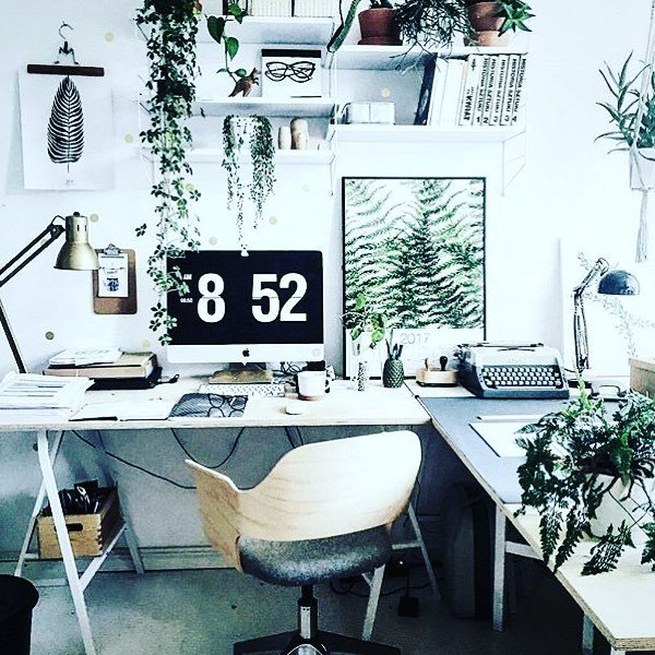 Look at this pretty desk!

#deskenvy #coworking #lovewhereyouwork #ferns #pretty #workfrom… ift.tt/2dNbdkE