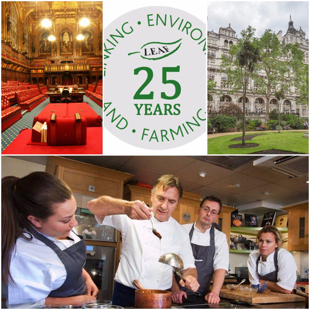 LEAF_Farming's tweet photo. Fab lots on offer at our #LEAF25 auction next week. Private bids now being taken. Good luck! https://t.co/HvGBO6QfVs https://t.co/rsGKNKxC44