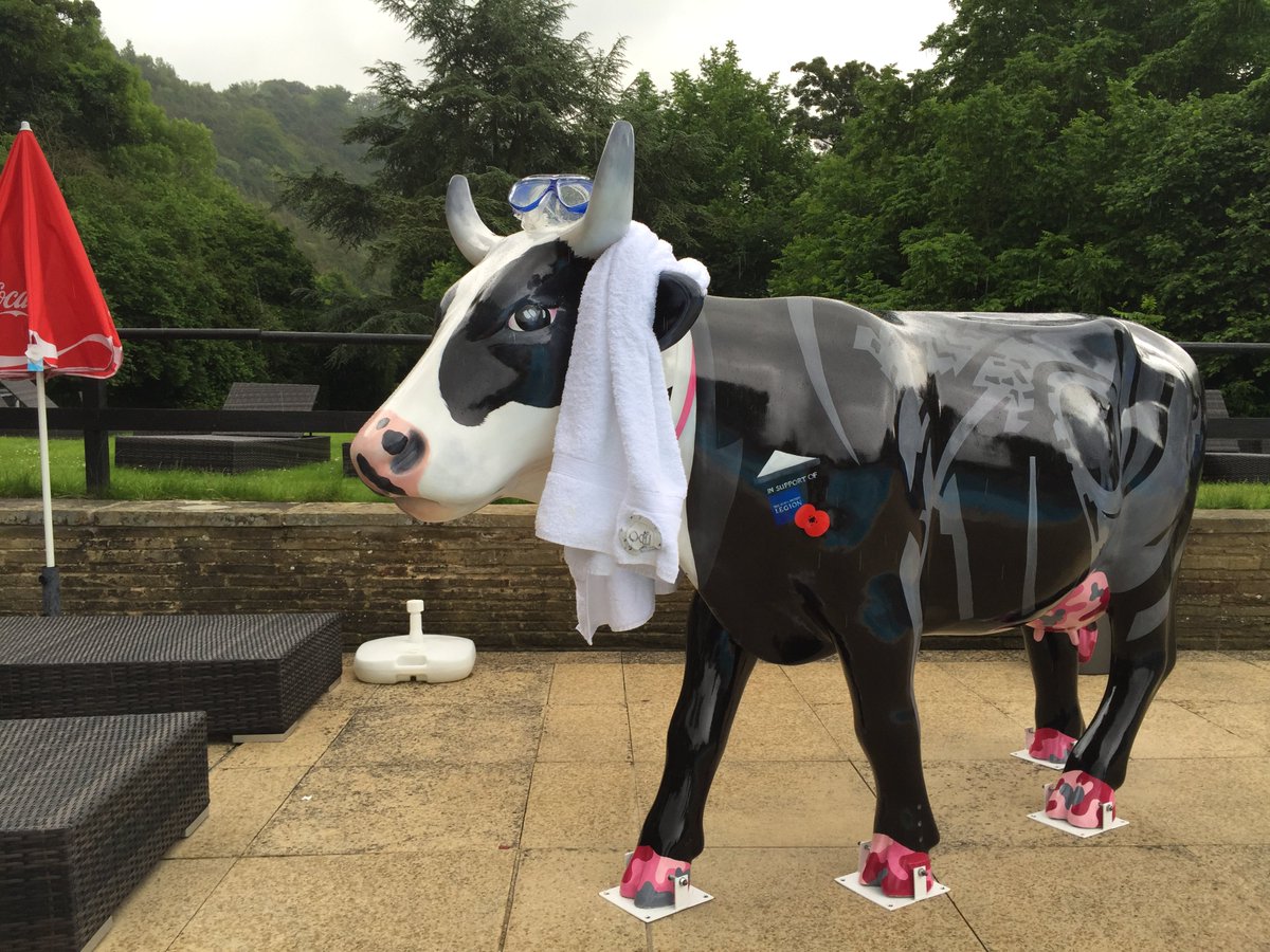 Spending today flicking through photos of my #mooi5 training missions. For more visit bit.ly/2e3zGkH <a href="/CampaignPball/">Campaign</a> @MercureBoxHill