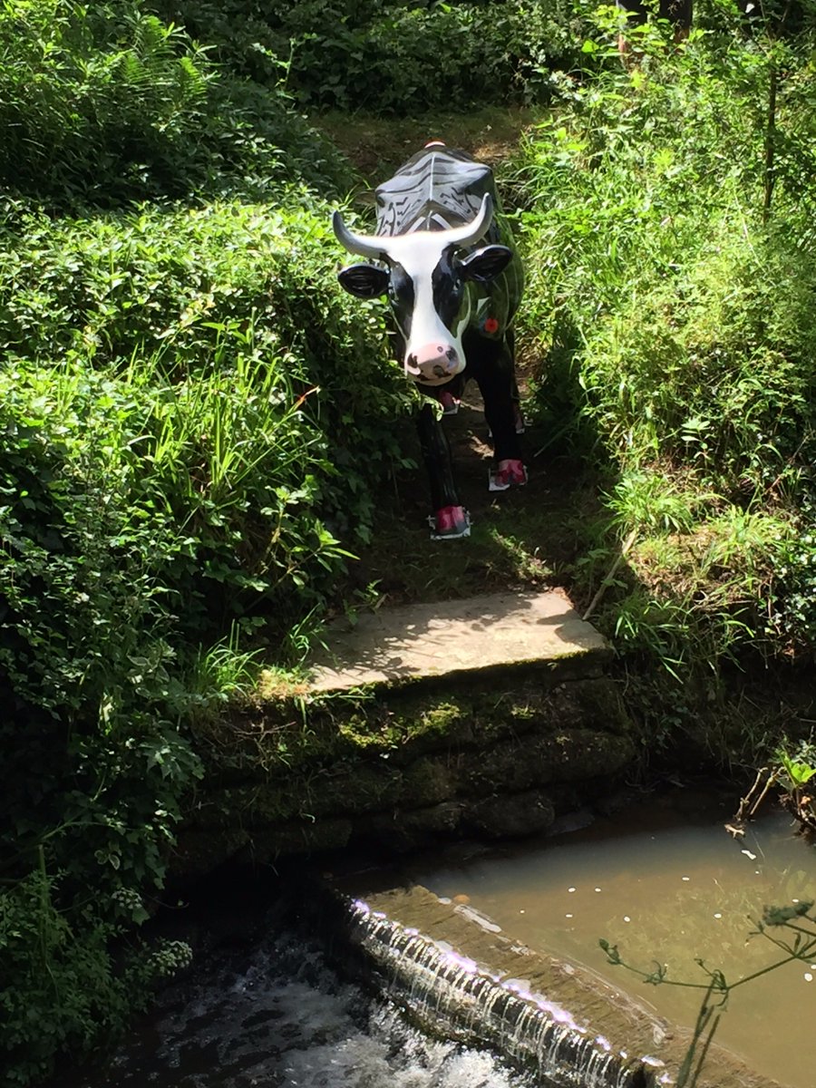 Mooi5Agent's tweet photo. Spending today flicking through photos of my #mooi5 training missions. For more visit https://t.co/wAYHMJtzBw @CampaignPball @MercureBoxHill https://t.co/Kx5VZQIuho