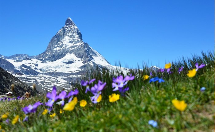 RoyDeepjyoti's tweet photo. #TravelWithOpera #Switzerland
https://t.co/vh7kel3Bz2 https://t.co/FrDe1RgzQO