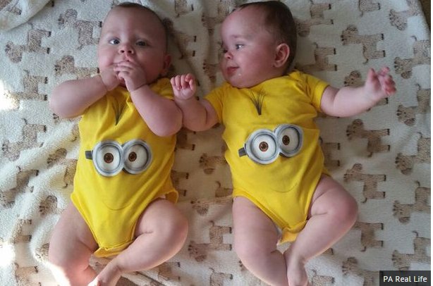 Bild auf Twitter anzeigen