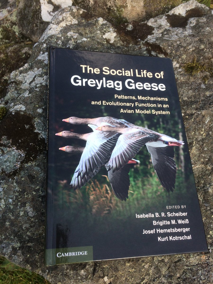 ASABeducation's tweet photo. Today's prize giveaway for #biologyweek day 5 - Reply to this tweet to enter in the raffle. Winner announced tomorrow morning @RoyalSocBio https://t.co/sqonhuNo3p