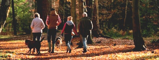 DestinationPartners tweet media