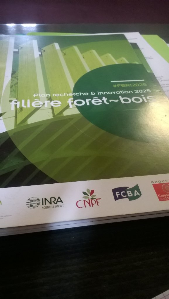 T_E_Helou's tweet photo. Point d étape plan #recherche #innovation 2025 filière #forêt #bois #FBRI2025 @Min_Agriculture @_FCBA @inra #cnpf https://t.co/XbIXw4XSfO