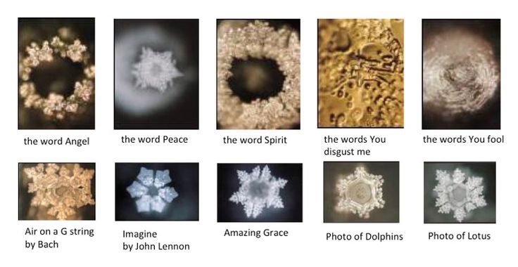 Gathering_Minds's tweet photo. How to purify and #restructure #water with Water Wizard Darren Brock https://t.co/qcYa5KIaha #KnowledgeNation #UKHealthRadio #cleanwater https://t.co/1qZ0QrbZWx