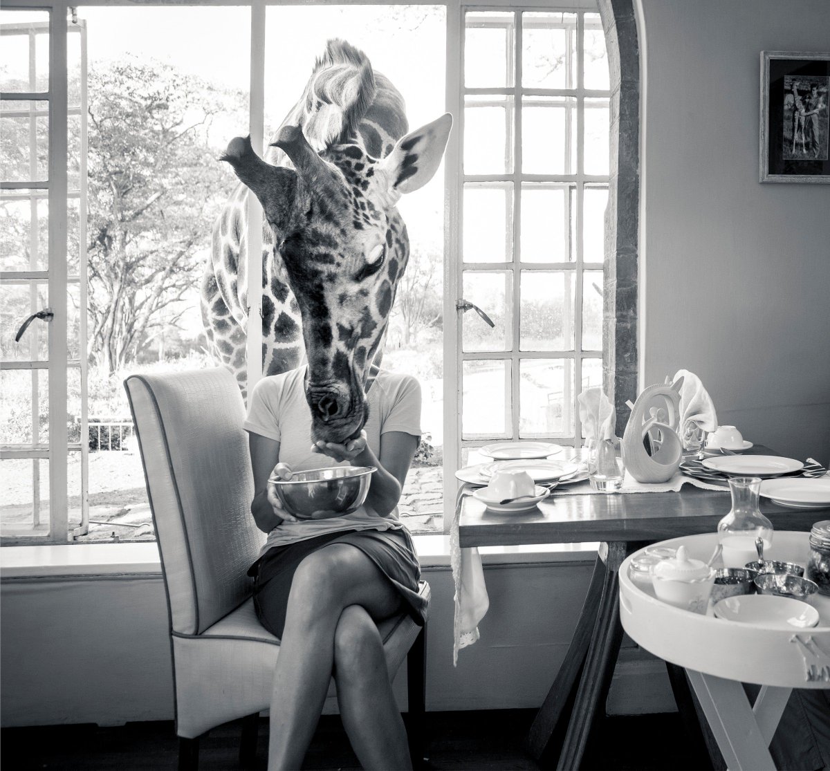 TrueTravel_'s tweet image. Dine with giraffes for a totally #bucketlistexperience! #GiraffeManor #Kenya