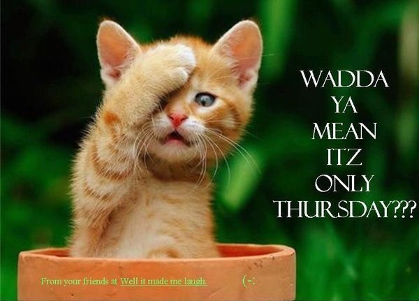 LexisTV's tweet photo. Good morning!! We made it to Thursday but looking forward to Friday. #OhFriday https://t.co/5CT5f5WLLD