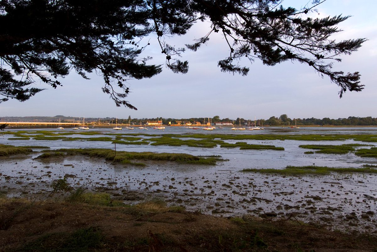 Emsworthandhi's tweet photo. Favourite view across the harbour to Langstone from @TheLangstone hotel on #Haylingisland https://t.co/uq9PJ8c5s7