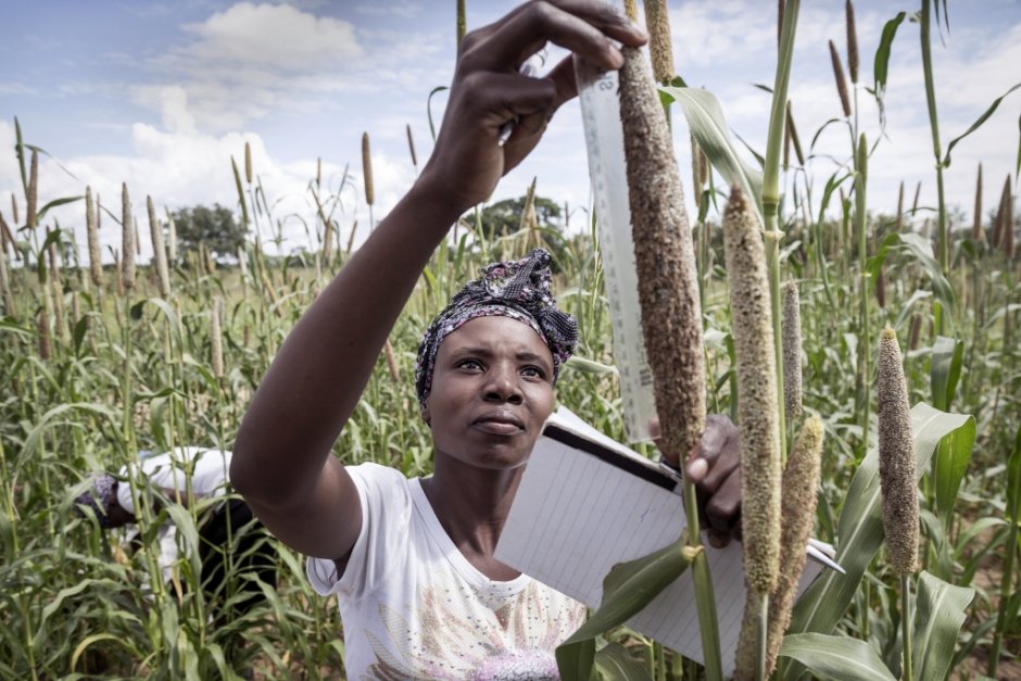 Concern Worldwide NI tweet media