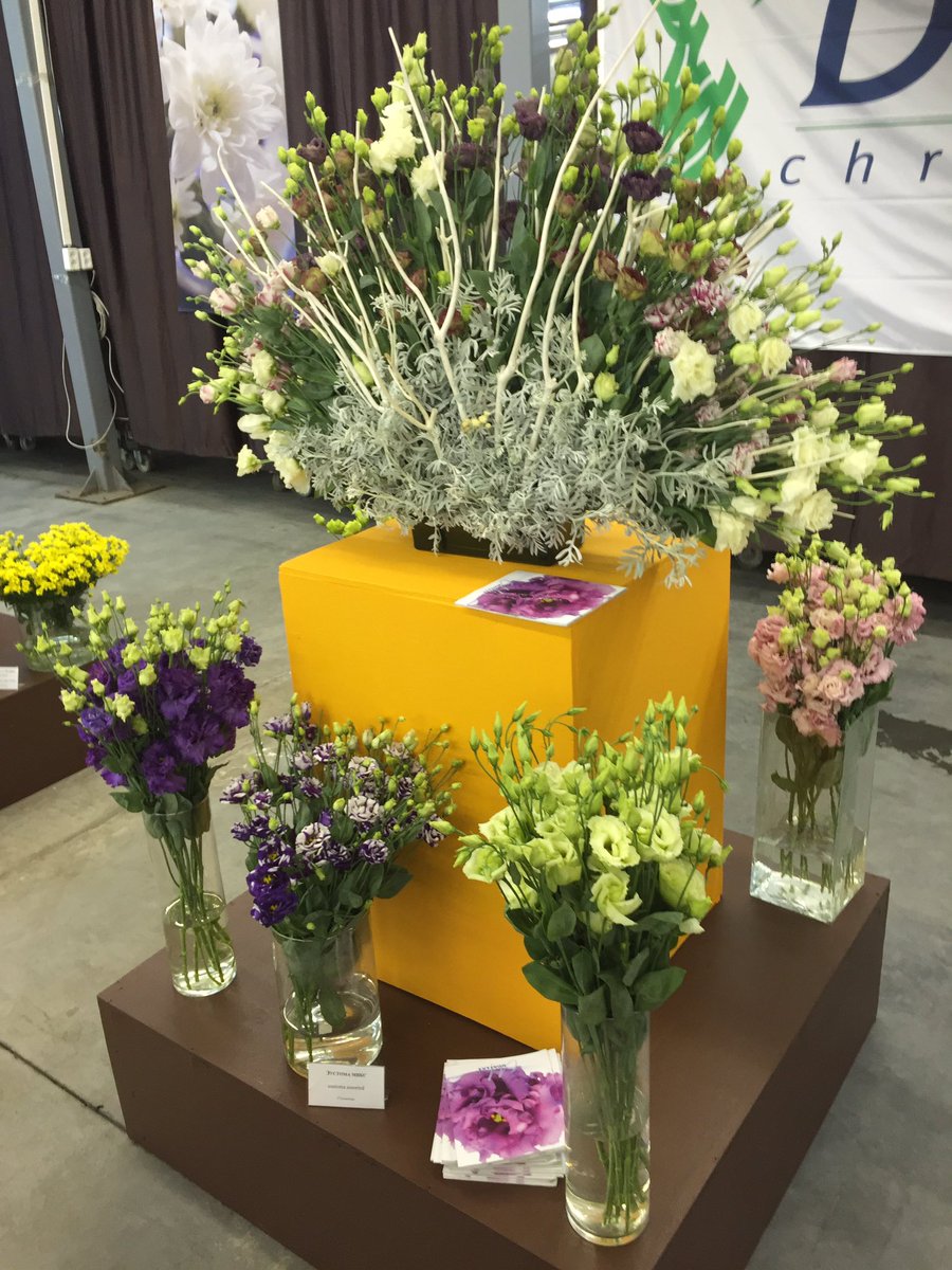 FlowerForcebv's tweet photo. Vandaag en morgen houden we een product show voor 400 bloemisten uit de regio Siberie in Novosibirsk ! https://t.co/taW8FwH2ei