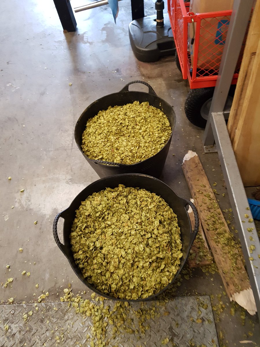 danmayer77's tweet photo. Guess who's let me tag along on my day off! And guess what we're brewing.... #workexperienceboy @ElectricBearUK https://t.co/krue12ZHCW