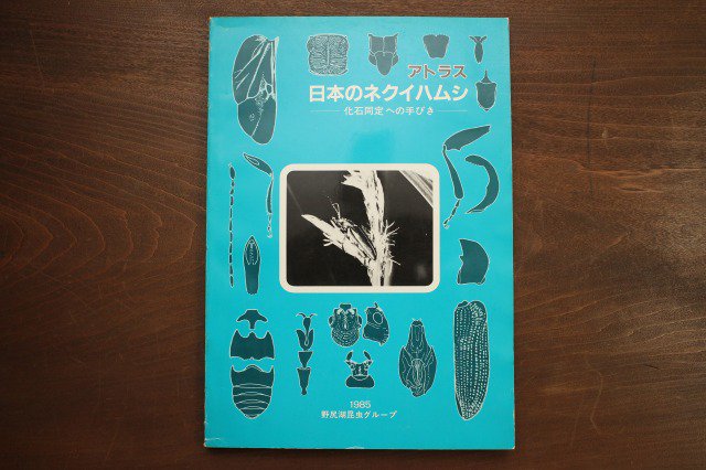 アトラス 日本のネクイハムシ 化石同定への手びき 1985野尻湖昆虫グループ