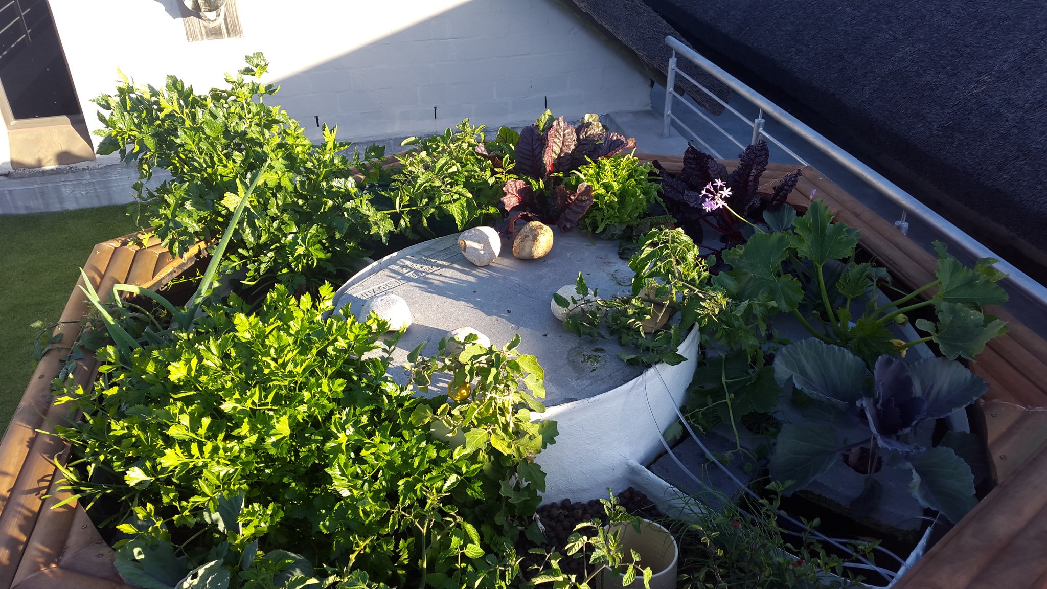 Fresh Life Produce On Twitter Look How Amazing Things Are