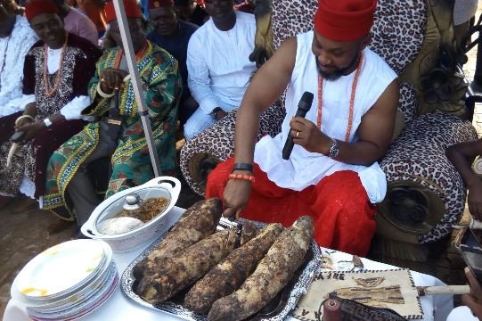 Ex-FRSC Corps Marshal & Aviation Minister, Osita Chidoka called on Igbos across the globe to be proud of their cultural heritage & join hands for promotion