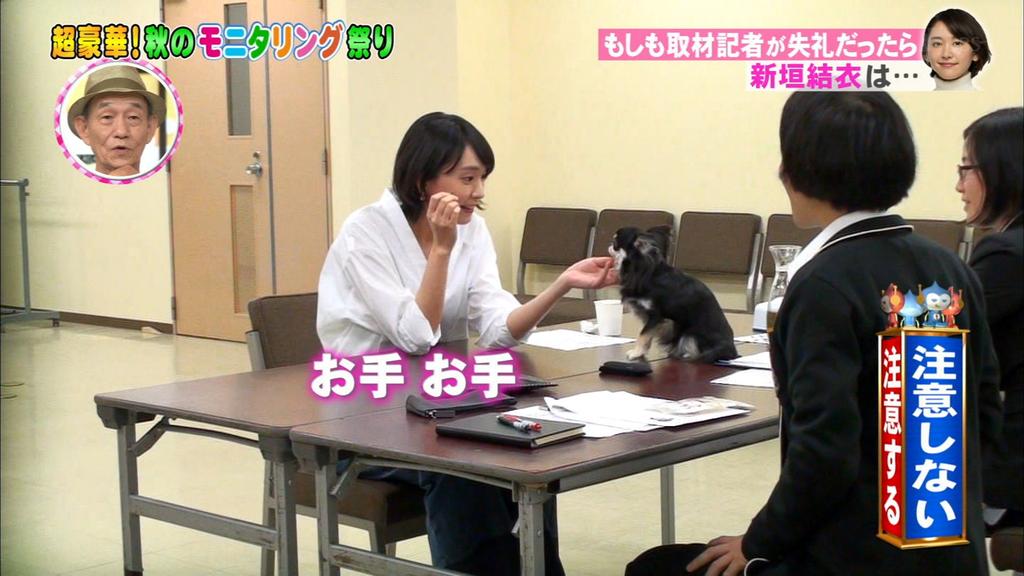 新垣結衣 Room ﾟ 16 10 13 ガッキーと犬 モニタリング 新垣結衣 Yuinfo