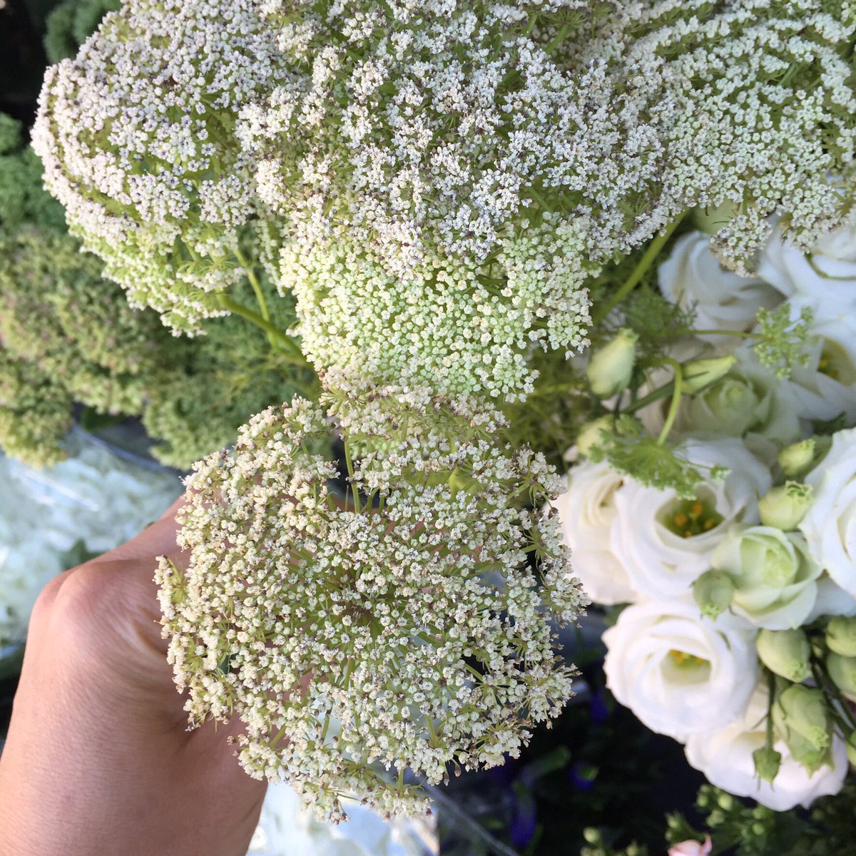 What's not to love about flowers?  #florist #TunbridgeWells