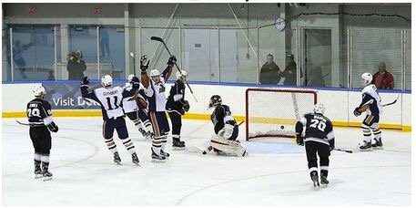 Delta Ice Hawks tweet media