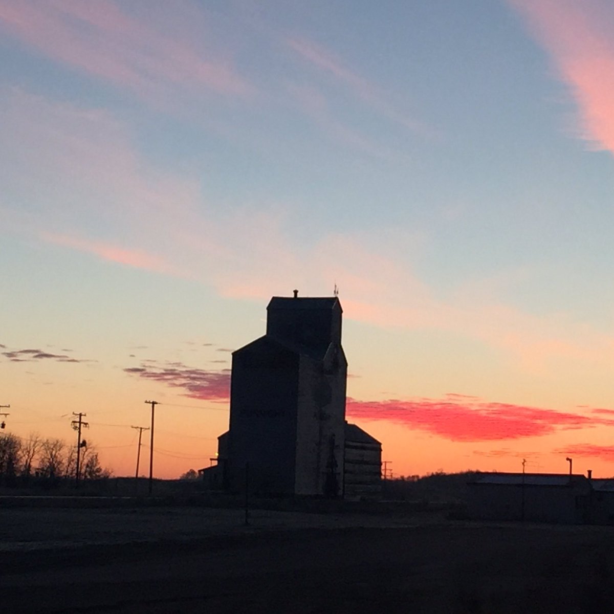 Lisa Smith tweet media